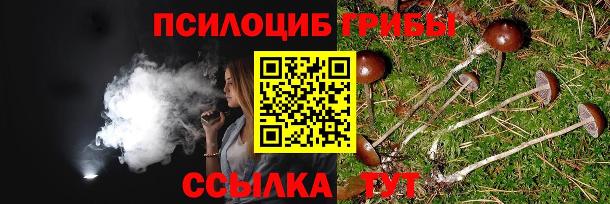 Галлюциногенные грибы GOLDEN TEACHER  Вход с VPN  Миллерово 